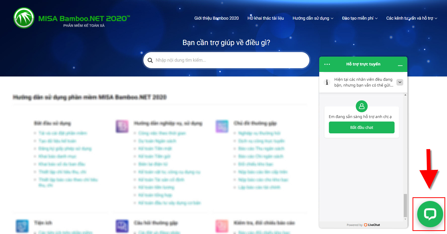 Livechat Bamboo.jpg