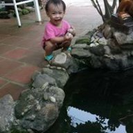 Đinh Hương