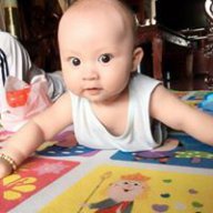 Nguyen Duc Phu