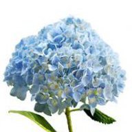 Quyen_Thuc