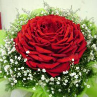 MinhThu77