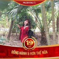 Cùi Bắp