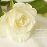 HTLE_MISA