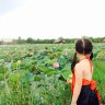 Hiếu Thi