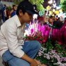 lãng nhan