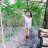 Nguyenhanhym