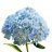 Quyen_Thuc