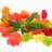 natureonlycbdgummies